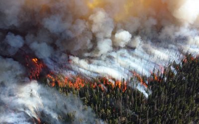 A Four Twenty Seven conference: « Climate Change and Wildfires: Projecting Future Wildfire Potential ».