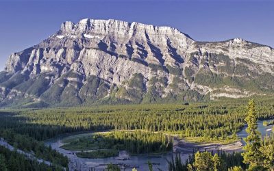 Un aperçu des mécanismes de soutien aux solutions basées sur la nature au Canada
