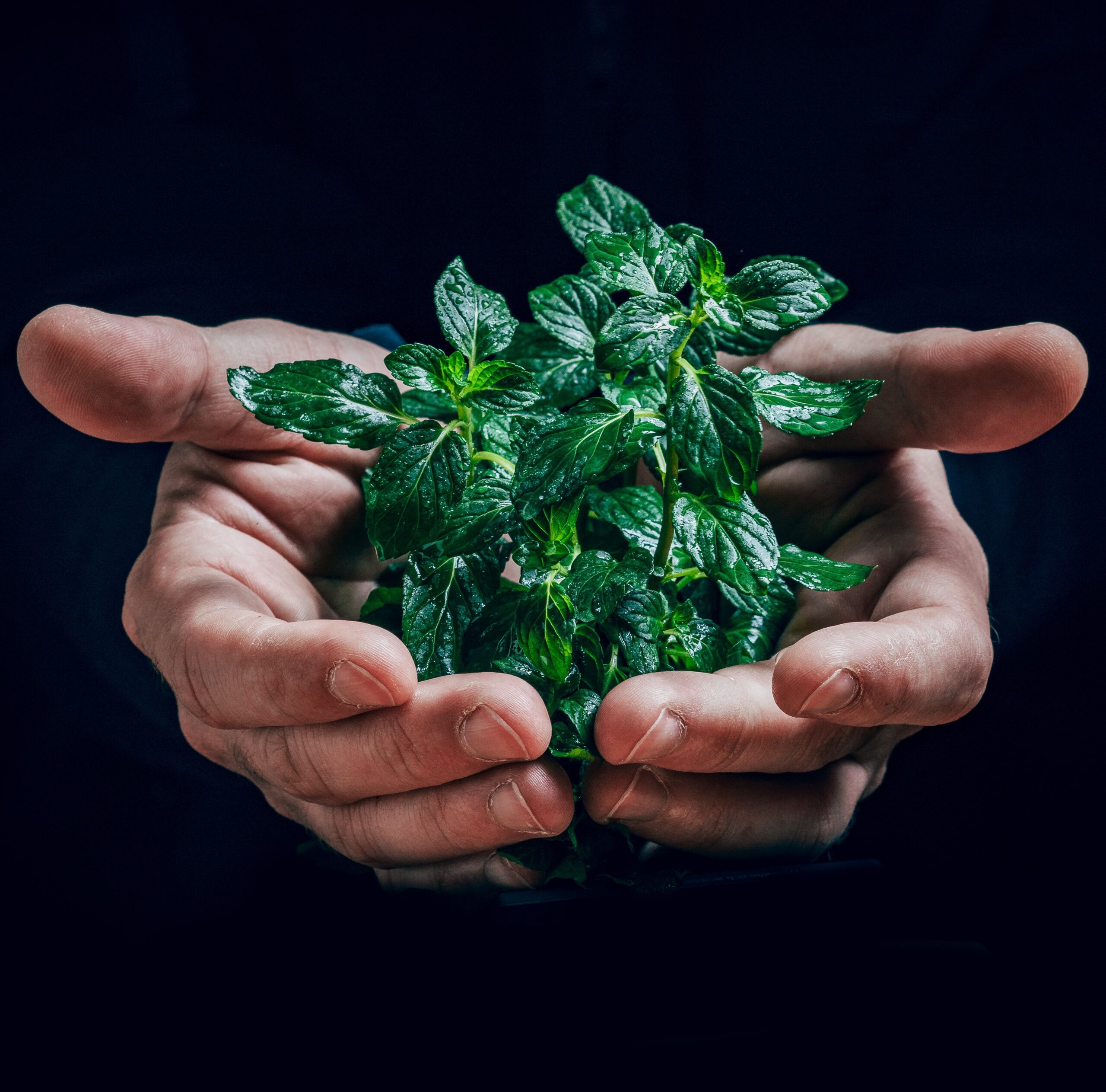 jan-kopriva-nex3P5iBnPg-unsplash - Copie