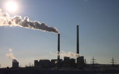 How can companies reduce their carbon footprint?