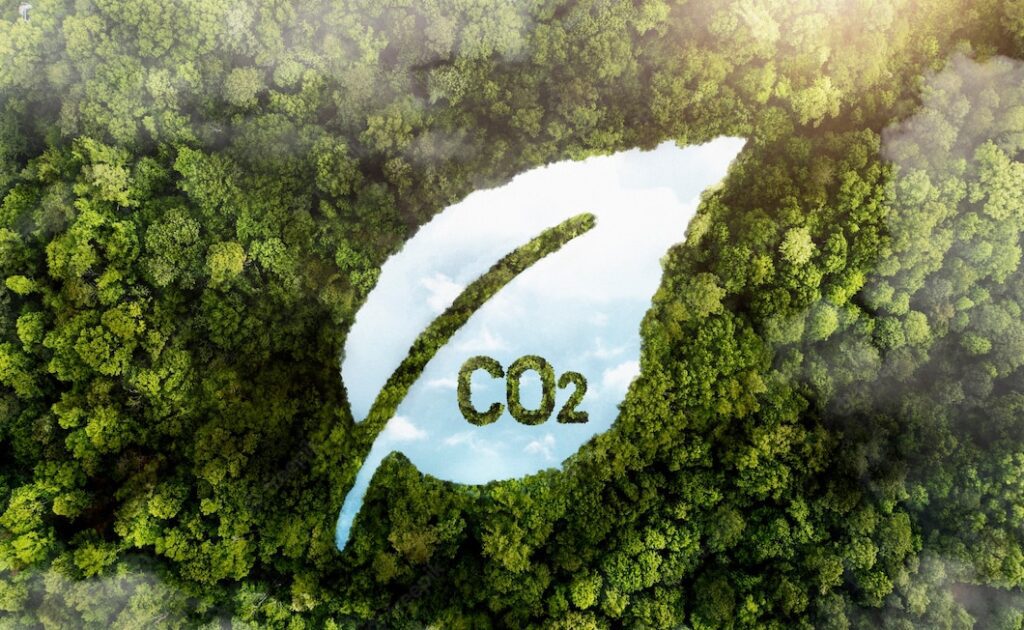 Vue d'une foret verte avec CO2