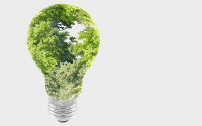 How to Make Your Company Carbon-Neutral?
