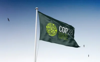 COP28: Global climate challenges and voluntary carbon markets