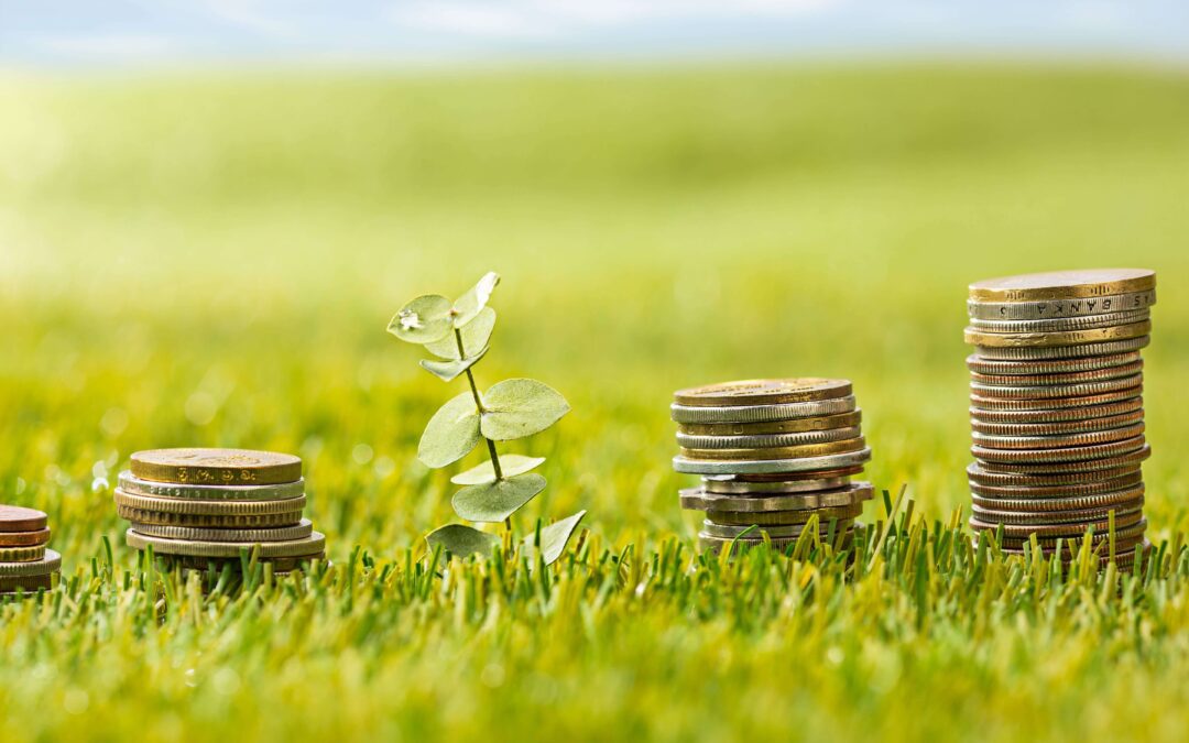 Le financement vert représenté par de l’herbe et de la monnaie