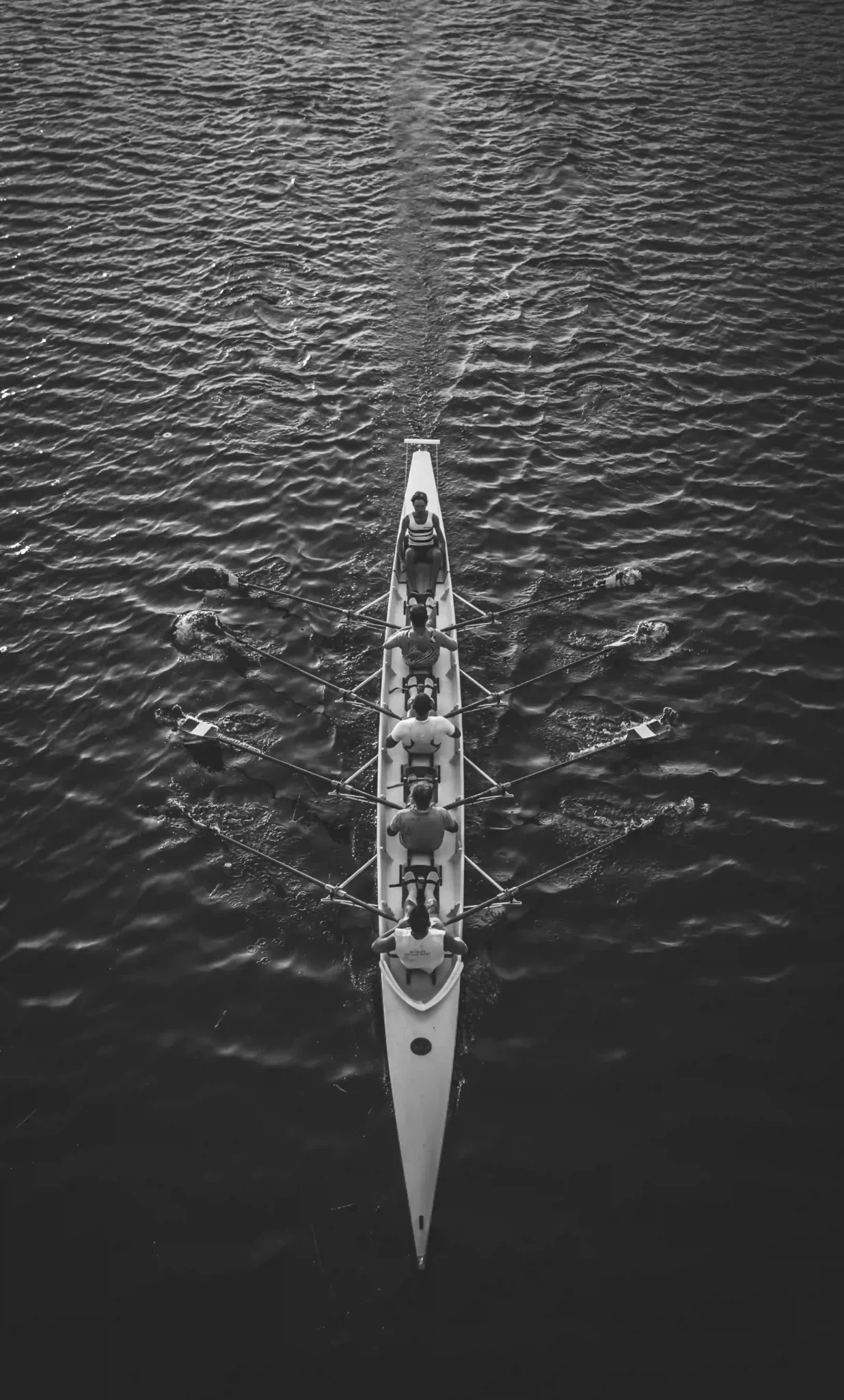 Image representing a rowing team, symbolizing mutual aid and the collaborative economy.