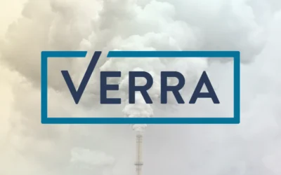 The Verra registry: analysis and trends of the world’s largest carbon credit registry