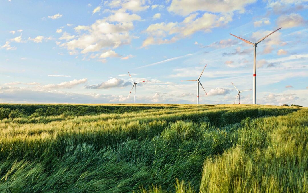 Un champ d’éoliennes produisant de l’énergie renouvelable