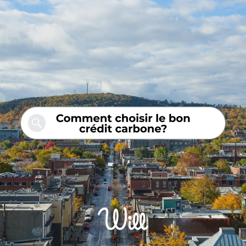 Photographie du Mont Royal à Montréal, représentant le projet carbone du Québec, Communauté Durable.