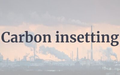 The concept of carbon insetting