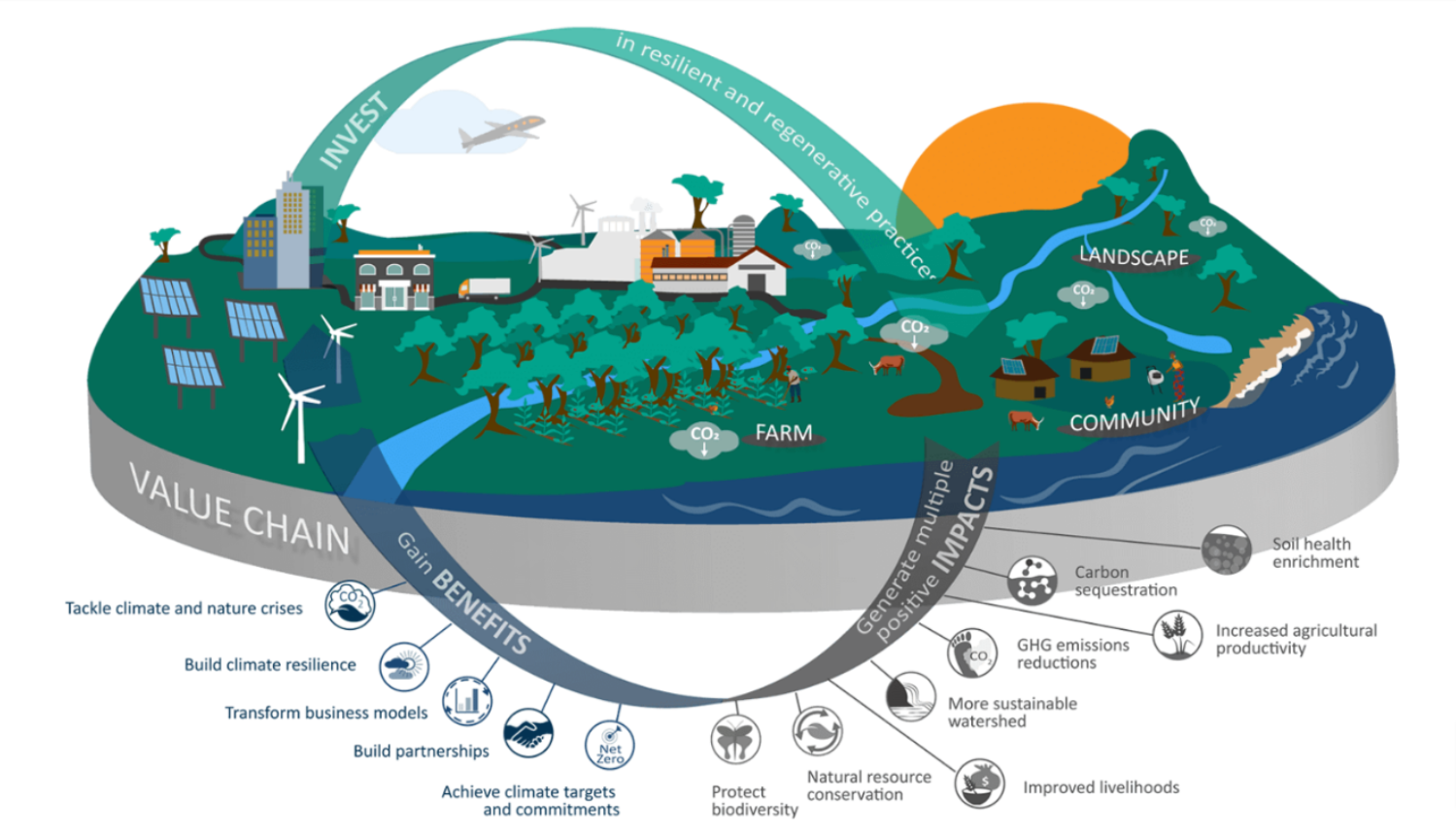 Insetting carbone : graphique en provenance de The International Platform for Insetting