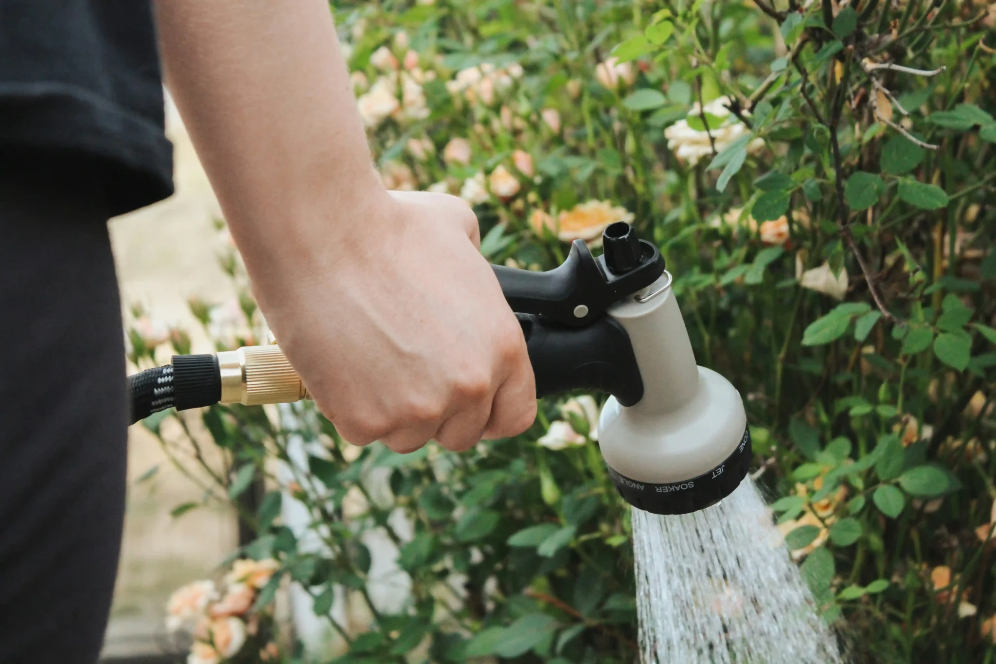 arrosage des plantes, analogie de l'insetting et du scope 3