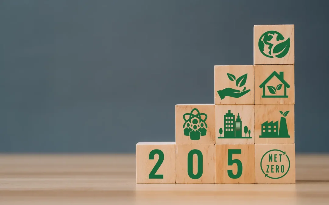 Net Zero 2030 and 2050: definition and characteristics